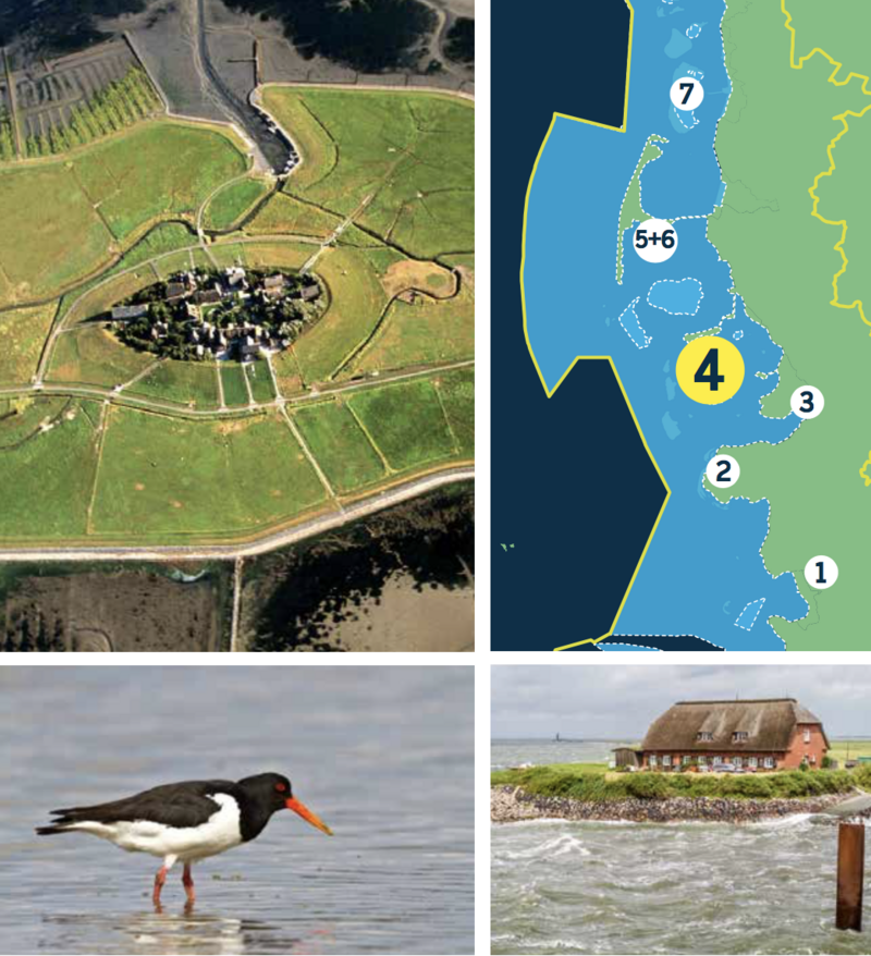 Compilation of a map of the Schleswig Holstein Wadden Sea and three pictures: aerial of Hallig-type island, oystercatcher in shallow water, house on hallig with lower island areas submerged in water.