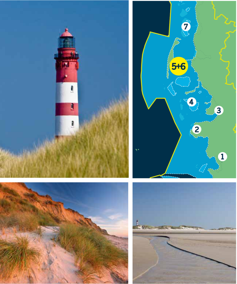 Compilation of a map of the Schleswig Holstein Wadden Sea and three pictures: lighthouse against blue sky, dunes in sunset, tidal creek with dunes and lighthouse in distance