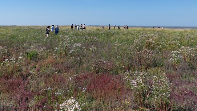 Group of students walking through colourful salt marsh. Hinke Lise Hoekstra.