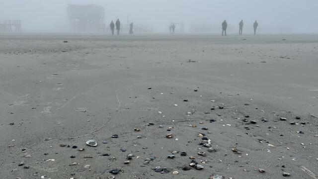 Beach in fog with people and wooden building in the distance. © CWSS/Bostelmann