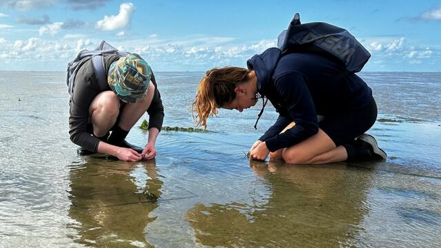 Two young women kneeling on a mudflat focusing on details on surface. © Laura Govers